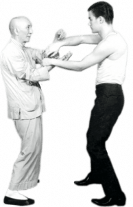 GRAND MASTER IP MAN AND BRUCE LEE