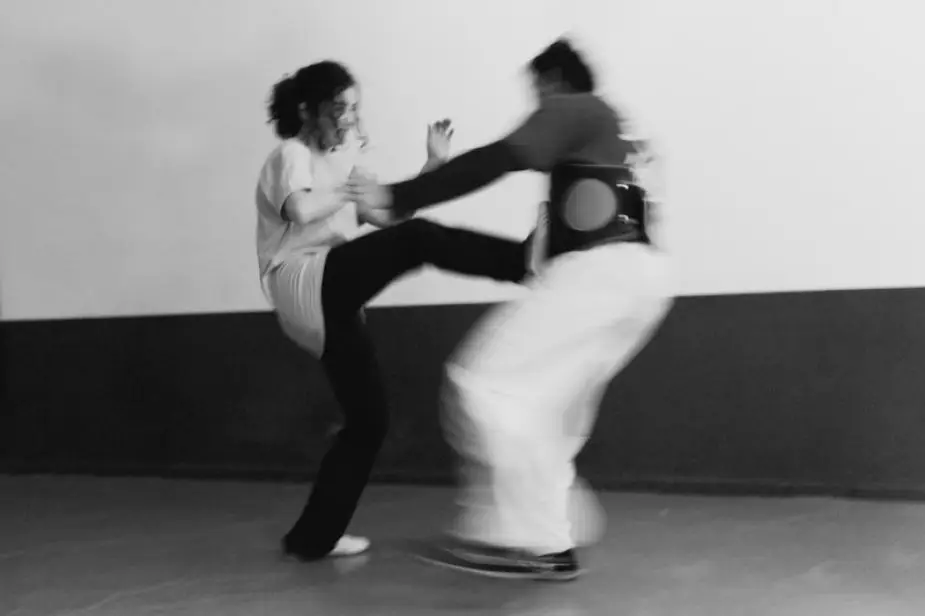 Wing Chun Den Haag groepstraining groepslessen Kung Fu vechtsporten