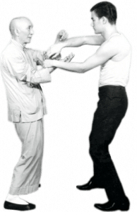 GRAND MASTER IP MAN AND BRUCE LEE