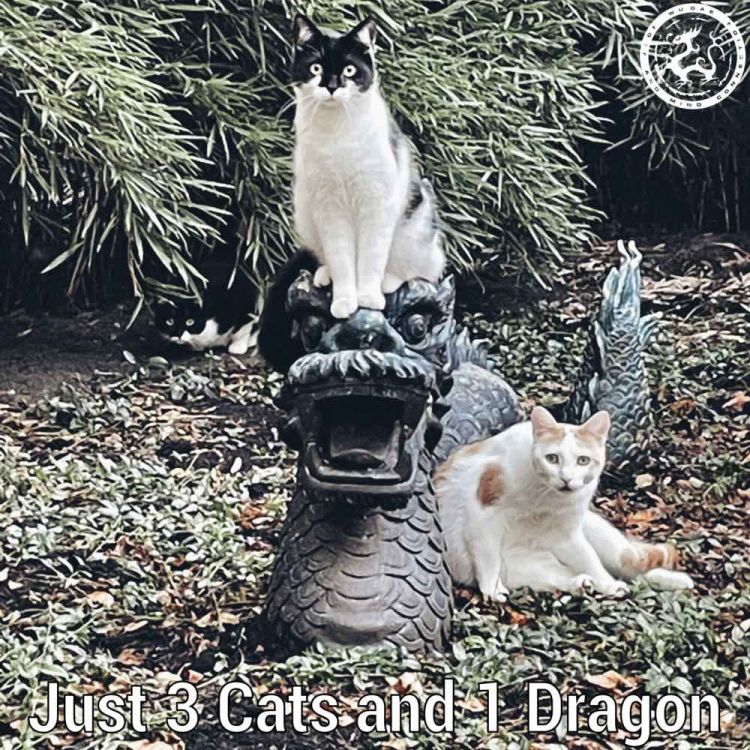 3 katten en 1 draak