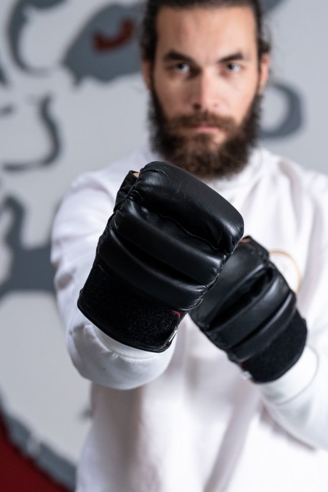 Kung Fu gloves