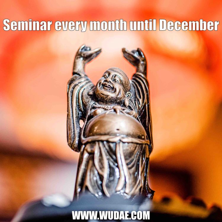 Elke maand een Wing Chun seminar!