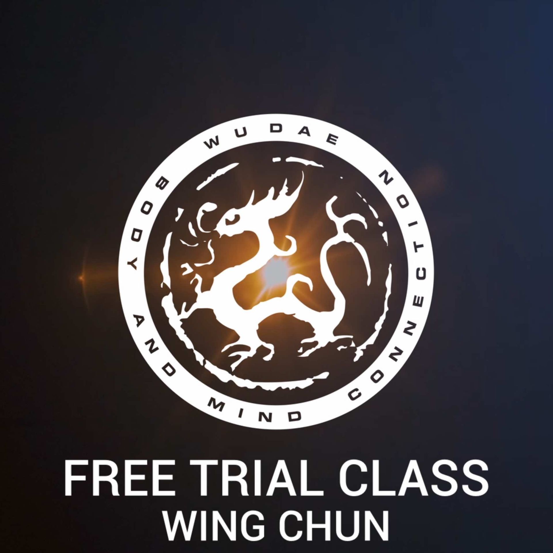 Saturday trial lesson Wing Chun