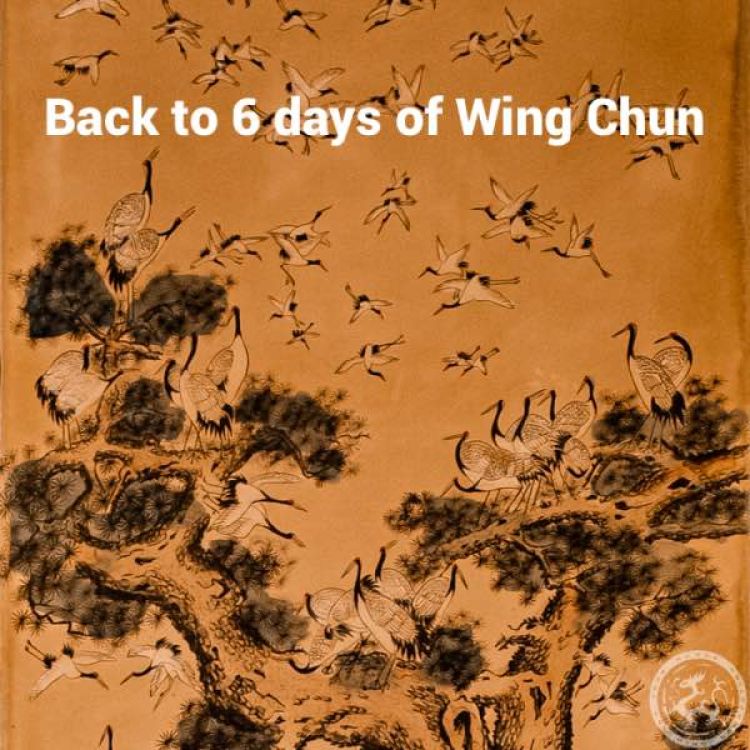 Terug naar 6 dagen Wing Chun!